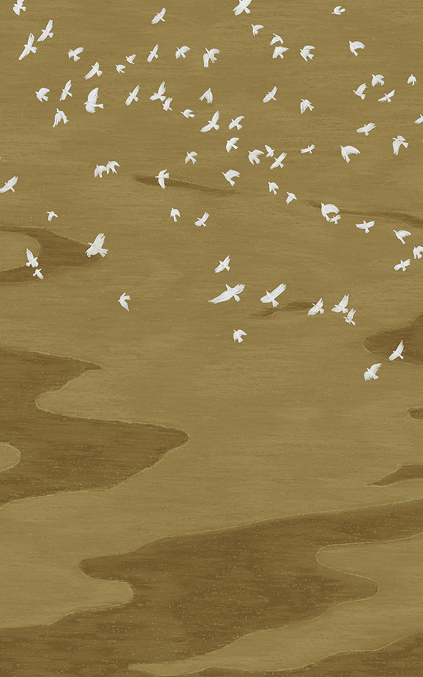 Casamance Migrations x Lucille Boitelle1