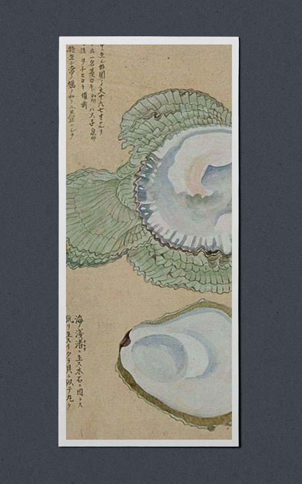 HONSHU-Lucille-Boitelle - image d'inspiration