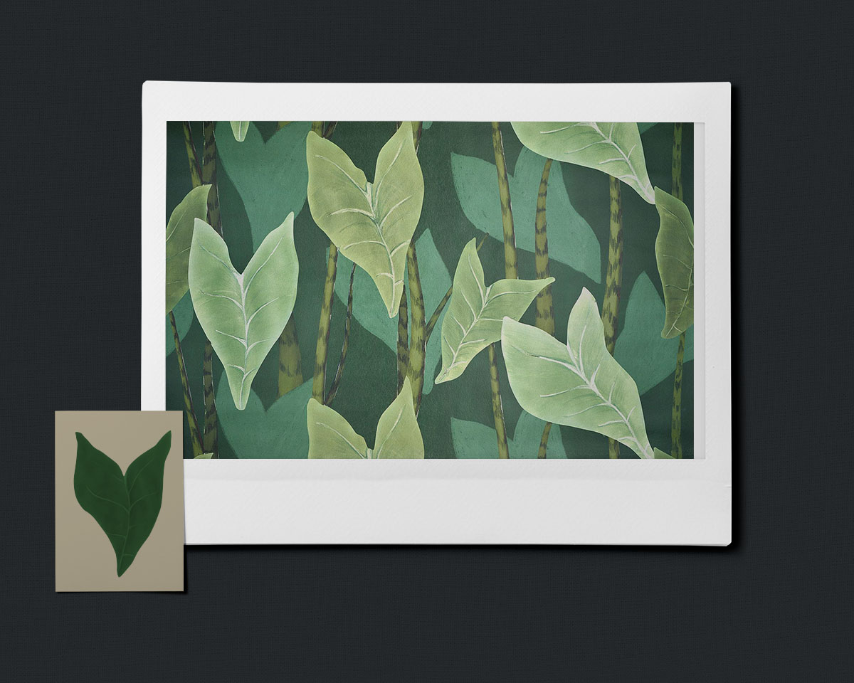 MONSTERA - Pierre Frey x Lucille Boitelle7