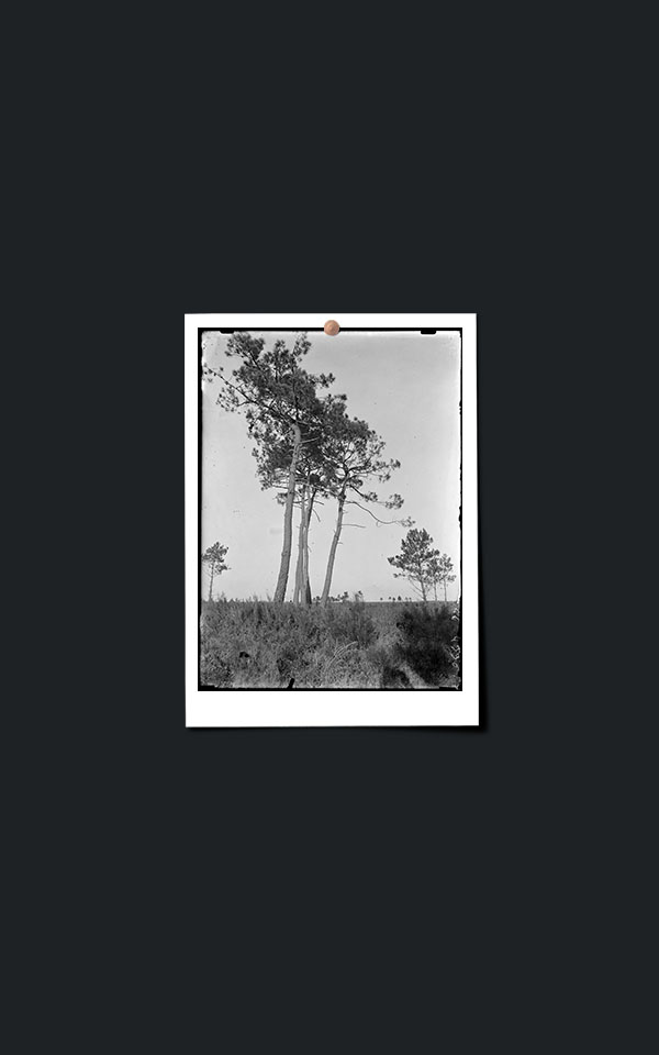 Ame – Casamance x Lucille Boitelle2